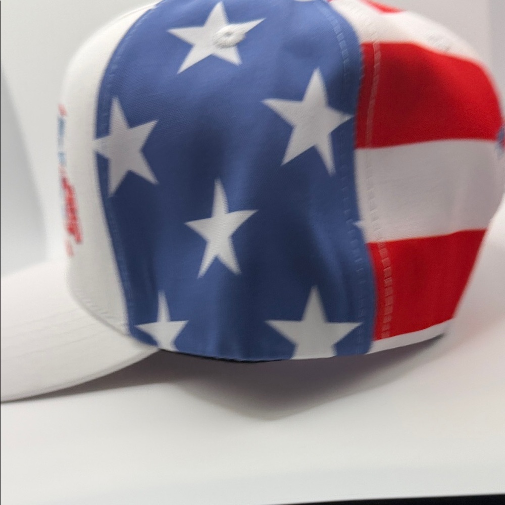 Homme Femme "The American Dream Campaign" Snapback Hat - Picture 3 of 9